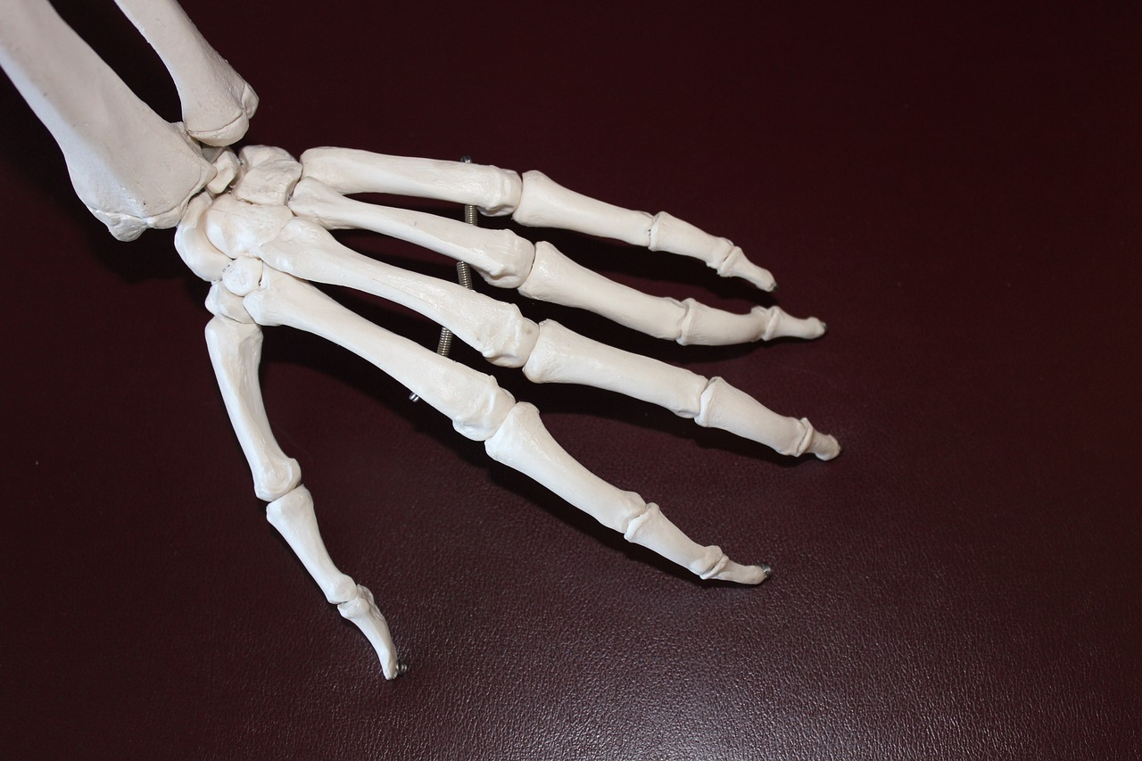 Revolutionary synthetic bone technology: improving lives of cancer and trauma patients