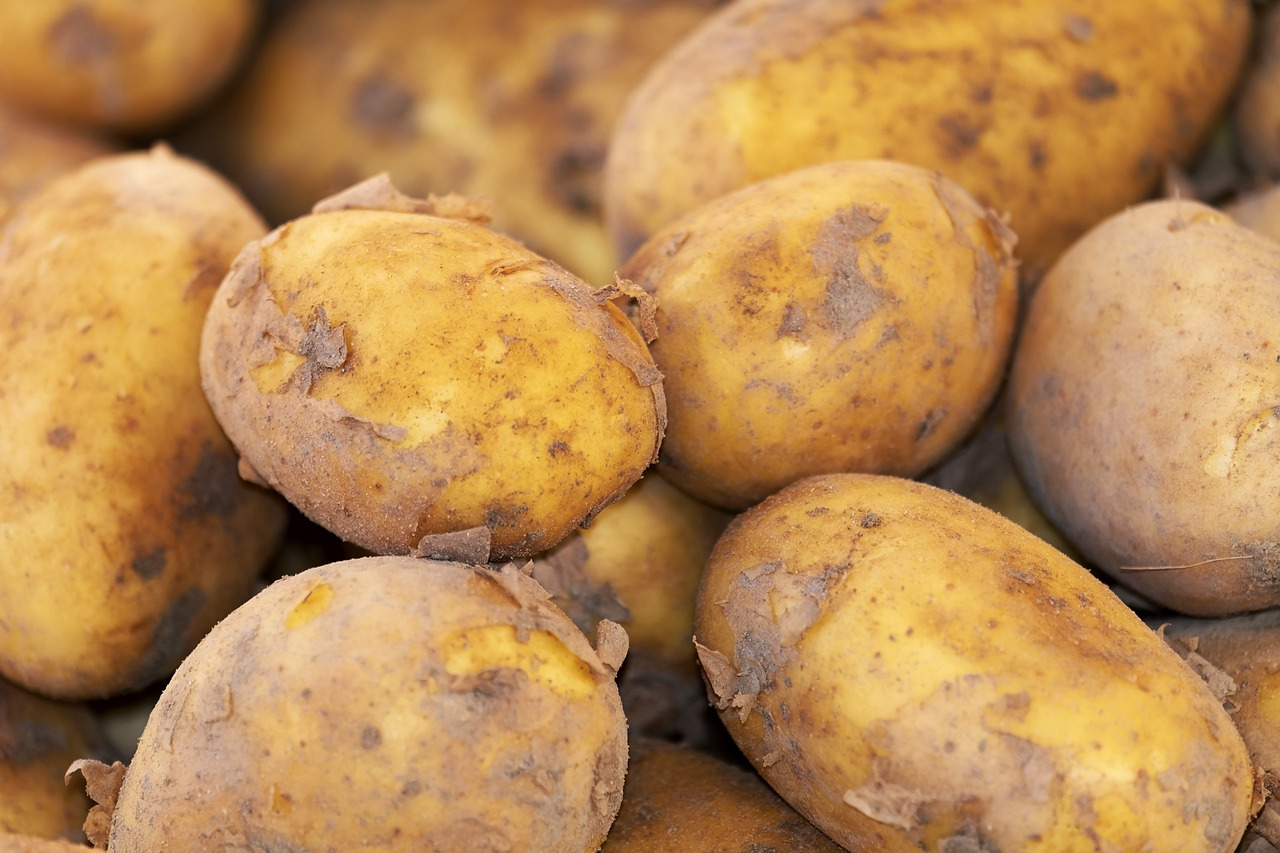 Potato Industry